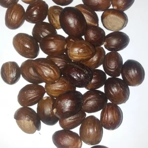 NUTMEG SEED
